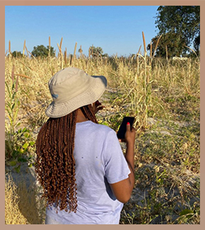 Enumerator collecting field survey in Namibia.