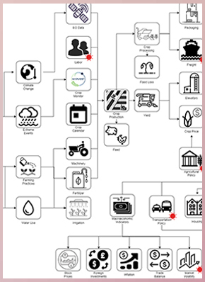 Graphic to represent the agricultural supply chain.